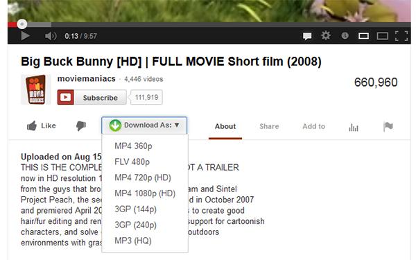 Easy YouTube Video Downloader Express Easy YouTube Video Downloader Express