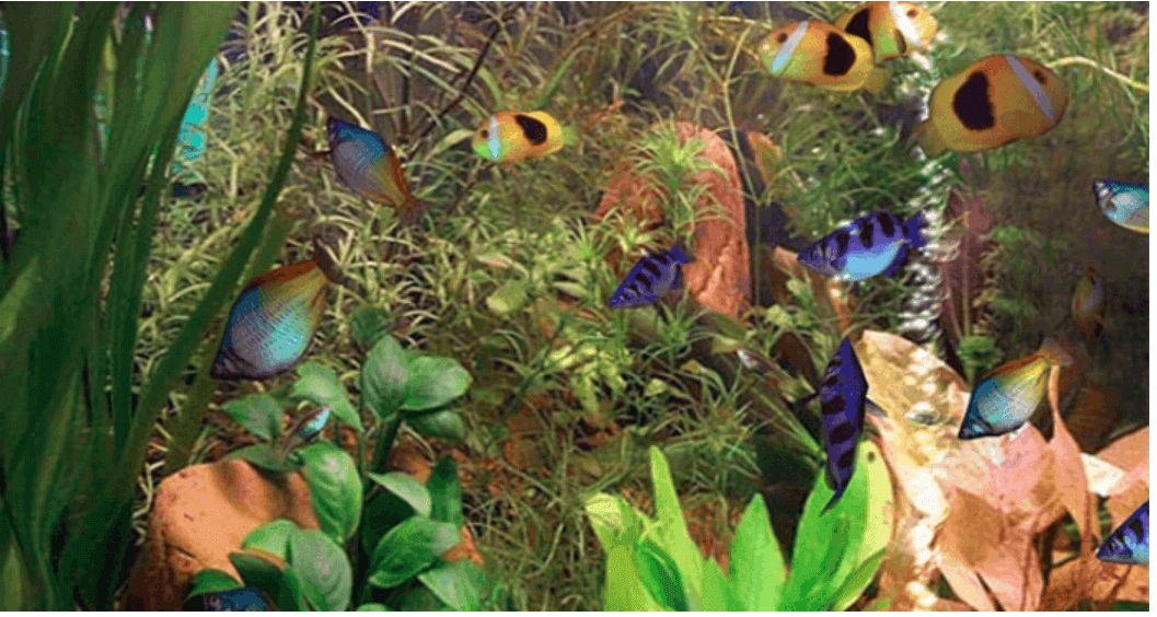 Aqua 3D Live Wallpaper Aqua 3D Live Wallpaper For Windows 10