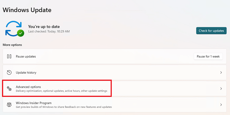 Check on Advanced Options of windows 11 Check on Advanced Options of windows 11
