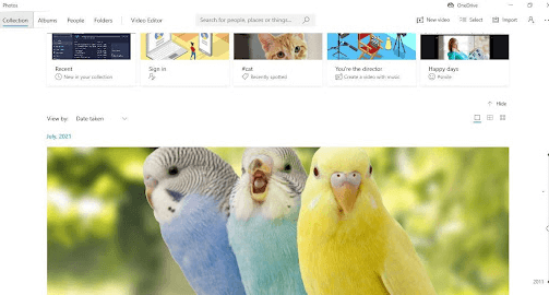 Click on Collection tab to list all your pictures in one place Click on Collection tab to list all your pictures in one place