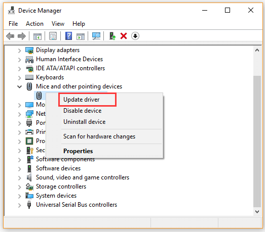 Mice and other pointing devices - Update driver Mice and other pointing devices - Update driver