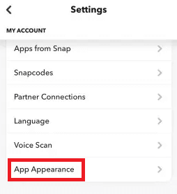 Snapchat App Appearance Snapchat App Appearance